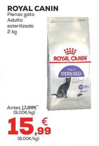 Kiwoko Royal canin pienso gato adulto esterilizado oferta
