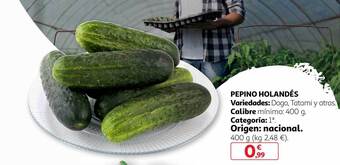 Alcampo Pepino holandés oferta