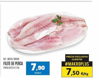 Makro Filete de perca oferta