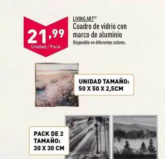 ALDI Living art cuadro de vidrio con marco de aluminio oferta