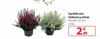 Alcampo Surtido mix calluna y ericas oferta