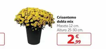 Alcampo Cristantemo doble mix oferta