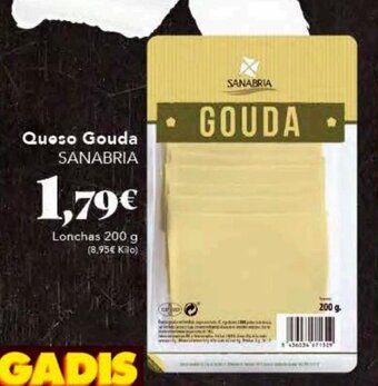 Gadis Queso gouda SANABRIA oferta