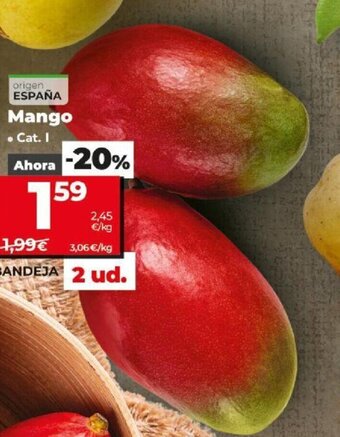 Dia Mango oferta