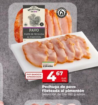 Dia Pechuga de Pavo Fileteada Al Pimenton oferta