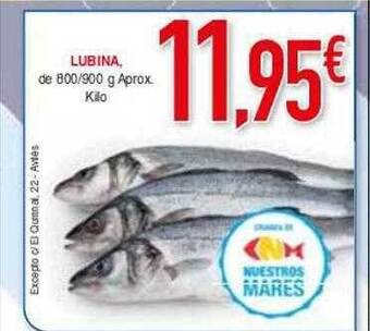 Masymas Lubina oferta