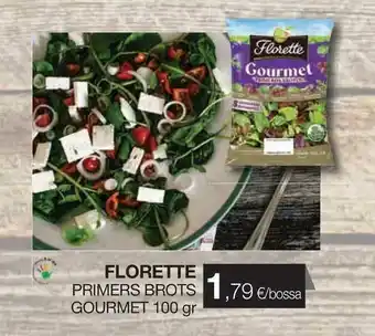 Plusfresc Florette Primers Brots Gourmet 100gr oferta