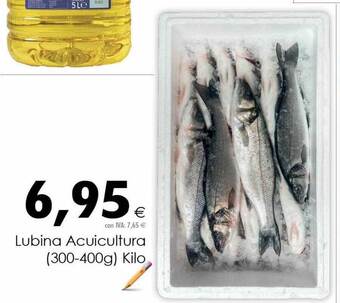 Cash Ifa Lubina acuicultura kilo oferta