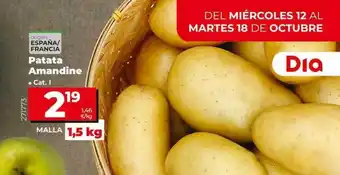 Dia Patata amandina oferta