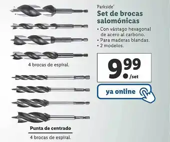 Lidl Parkside set de brocas salomónicas oferta