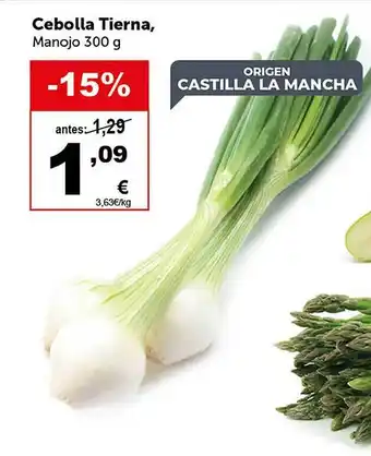 Masymas Cebolla tierna oferta