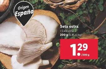 Lidl Seta ostra oferta