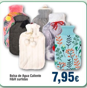 FROIZ Bolsa de Agua Caliente H&H Surtidas oferta