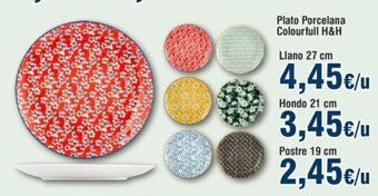FROIZ Plato Porcelana Colourfull H&H oferta