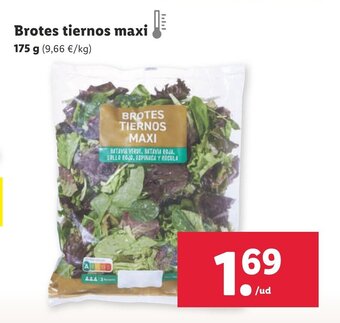 Lidl Brotes Tiernos Maxi oferta