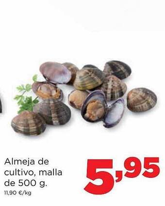 Alimerka Almeja de cultivo malla de 500 g oferta