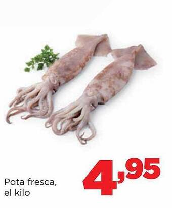 Alimerka Pota fresca el kilo oferta