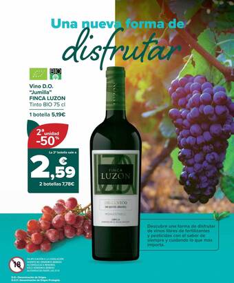 Carrefour Vino d.o. oferta