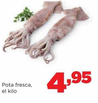 Alimerka Pota fresca el kilo oferta