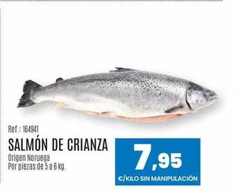 Makro Salmón de crianza oferta
