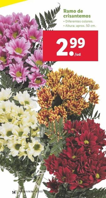 Lidl Ramo de flores oferta