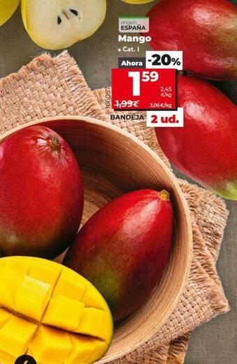Dia Mango oferta