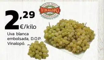 Supermercados Lupa Uva blanca embolsada d.o.p. vinalopó oferta
