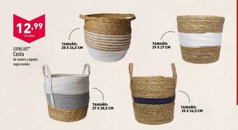 ALDI Living art cesta oferta