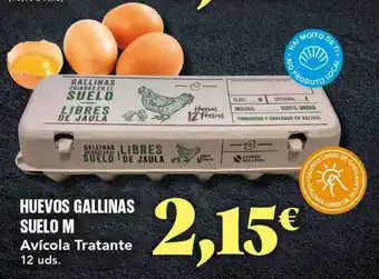 Gadis Huevos gallinas suelo m avícola tratante oferta