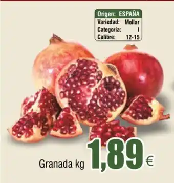 FROIZ Granada oferta