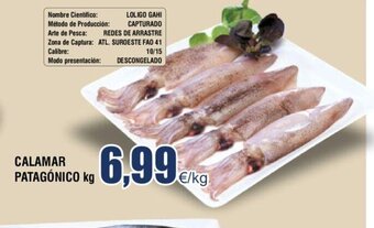 FROIZ Calamar Patagónico kg oferta