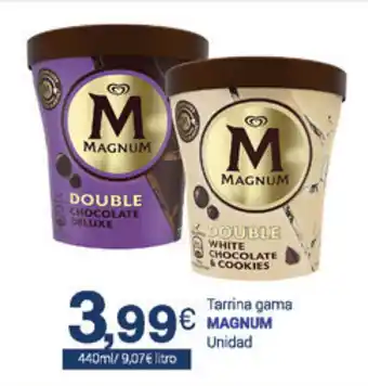 Supermercados Plaza Magnum Tarrina gama 440ml oferta