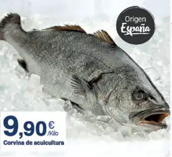 Supermercados Plaza Corvina de acuicultura oferta