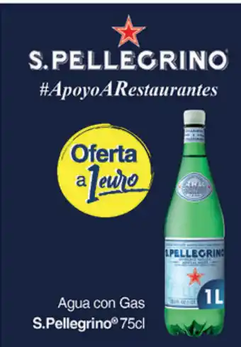 Supermercados Plaza S. Pellegríno Agua con Gas 75cl oferta