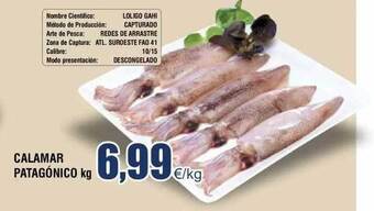 FROIZ Calamar patagónico kg oferta