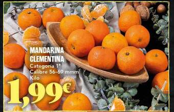 Gadis Mandarina clementina oferta