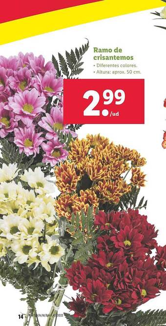 Lidl Ramo de crisantemos oferta