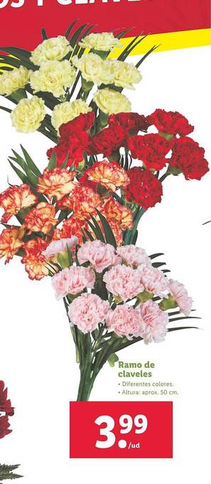 Lidl Ramo de claveles oferta