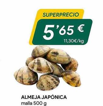 Masymas Almeja japónica oferta