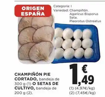 Hipercor Champiñón pie cortado o setas de cultivo oferta