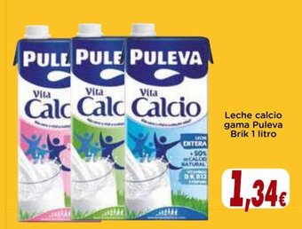 Supermercados Piedra Leche Calcio Gama Puleva Brik 1 litro oferta