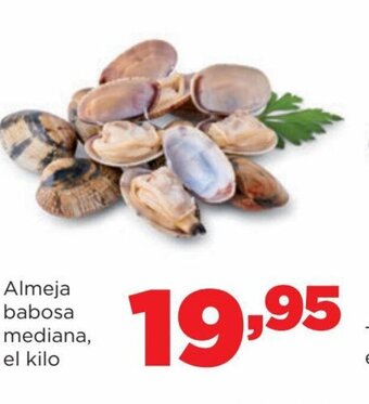 Alimerka Almeja babosa mediana, el kilo oferta