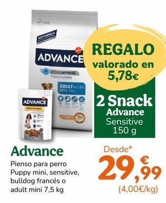 TiendAnimal Pienso para perros advance oferta