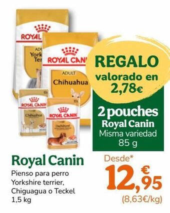 TiendAnimal Pienso para perros royal canin oferta
