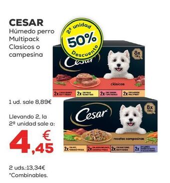Kiwoko Comida para perros cesar oferta