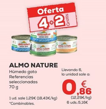 Kiwoko Comida para gatos oferta