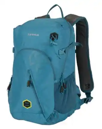 Intersport Mochila montaña jagger 22l oferta