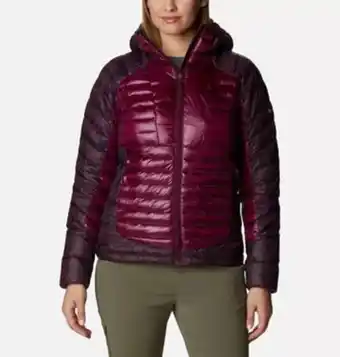 Intersport Chaqueta acolchada labyrinth loop hooded oferta