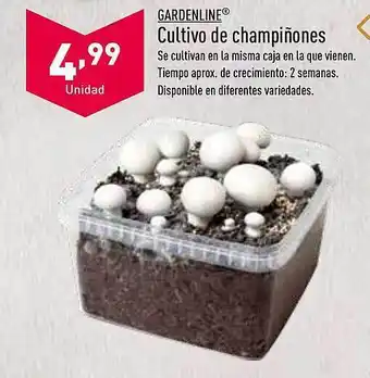 ALDI Gardenline cultivo de champiñones oferta