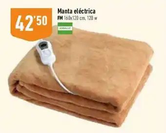 Supermercados Deza Manta eléctrica fm oferta
